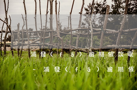 浦發(fā)逾期催款電話打給家人合法嗎-浦發(fā)逾期催款電話打給家人合法嗎是真的嗎