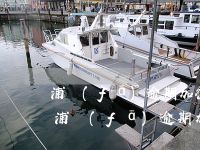 浦發(fā)逾期加微信協(xié)議-浦發(fā)逾期加微信協(xié)議