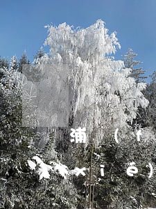 浦發(fā)逾期十萬(wàn)怎么協(xié)商還款-浦發(fā)銀行逾期十天左右要全額還款嗎?