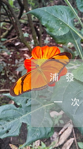 浦發(fā)逾期協(xié)商還款最后一次還不上(浦發(fā)逾期半個月還是還不上要怎么協(xié)商)