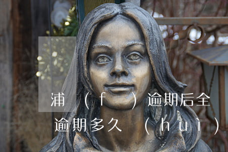 浦發(fā)逾期后全額還款(浦發(fā)逾期多久會(huì)要求一次性還全部欠款)