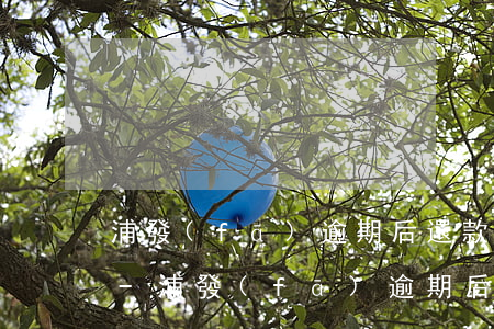 浦發(fā)逾期后還款后還能申請使用嗎-浦發(fā)逾期后還款后還能申請使用嗎安全嗎