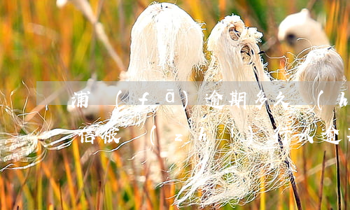 浦發(fā)逾期多久會(huì)成為失信被執(zhí)行人 逾期多久會(huì)被列為失信被執(zhí)行人