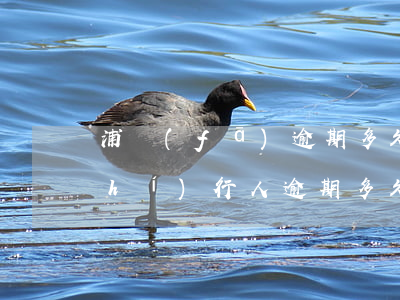 浦發(fā)逾期多久會成為失信被執(zhí)行人 逾期多久會被列為失信被執(zhí)行人