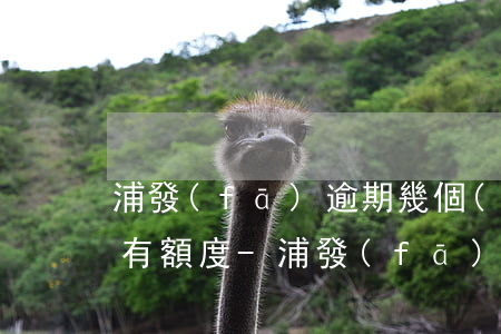 浦發(fā)逾期幾個(gè)月還了顯示有額度-浦發(fā)逾期幾個(gè)月還了顯示有額度怎么回事