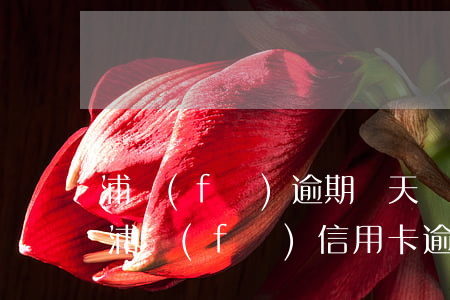浦發(fā)逾期幾天協(xié)商還款(浦發(fā)信用卡逾期幾天要求還全款)