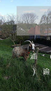 浦發(fā)逾期必須全額還款(浦發(fā)逾期多久會(huì)要求一次性還全部欠款)