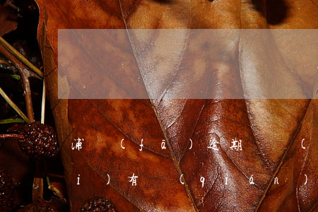 浦發(fā)逾期暫時(shí)沒(méi)有錢(qián)還該怎么協(xié)商-浦發(fā)逾期10天了讓一吹還清,還不起怎么辦