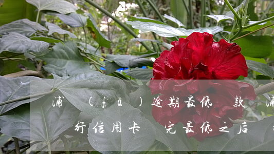 浦發(fā)逾期最低還款嗎(浦發(fā)銀行信用卡還完最低之后顯示逾期)