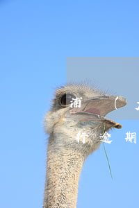 浦發(fā)逾期會找單位(浦發(fā)銀行逾期半個月會給家人打電話嗎)