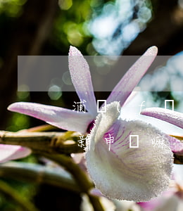 浦發(fā)逾期被凍結(jié)還能從新申請嘛-浦發(fā)逾期被凍結(jié)還能從新申請嘛
