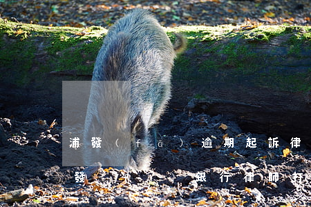浦發(fā)逾期起訴律師費(fèi)(浦發(fā)銀行律師打電話要起訴)