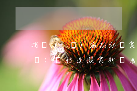 浦發(fā)逾期起訴案例上海-浦發(fā)銀行造假案新進展:近200人被問責(zé)