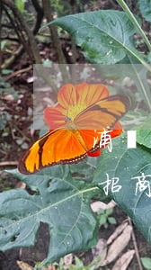 浦發(fā)逾期還款怎么協(xié)商招商(浦發(fā)銀行逾期可以到銀行當(dāng)面協(xié)商還款)
