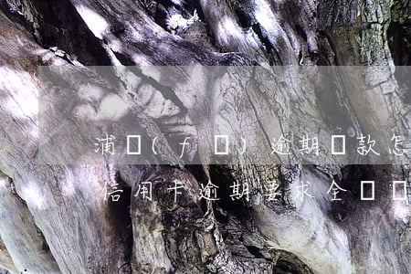 浦發(fā)逾期還款怎么辦(浦發(fā)信用卡逾期要求全額還款是怎么還款的)