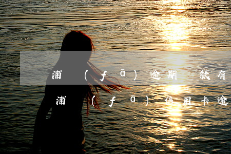 浦發(fā)逾期還款有協(xié)議嗎(浦發(fā)信用卡逾期協(xié)商還款的流程)