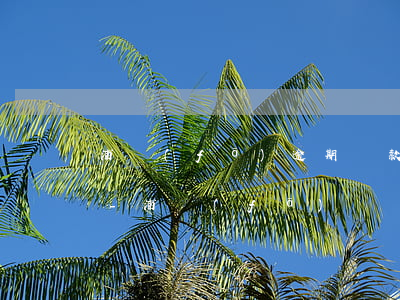浦發(fā)逾期還款違約金撤銷什么意思-浦發(fā)違約金可以申請(qǐng)撤銷幾次