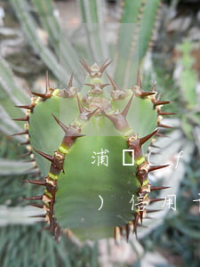 浦發(fā)逾期顯示全額還款(浦發(fā)信用卡逾期后還上最低還款會(huì)自動(dòng)解凍嘛)