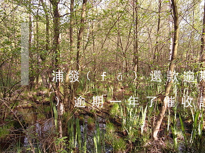 浦發(fā)還款逾期半個小時(浦發(fā)逾期一年了催收說不用還利息了)