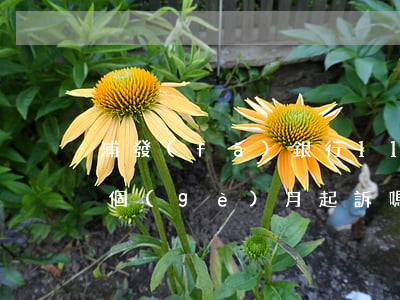 浦發(fā)銀行11萬(wàn)逾期3個(gè)月起訴嗎(浦發(fā)銀行逾期3個(gè)月要起訴我怎么辦)