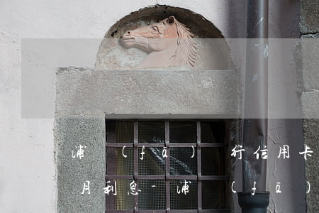 浦發(fā)銀行信用卡10000元一個月利息-浦發(fā)信用卡千萬不能辦