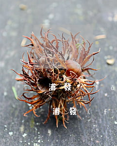 浦發(fā)銀行信用卡20元逾期4天-浦發(fā)銀行信用卡20元逾期4天會怎樣