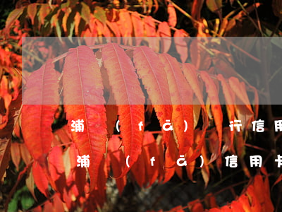 浦發(fā)銀行信用卡24期利率（24期浦發(fā)信用卡利息）