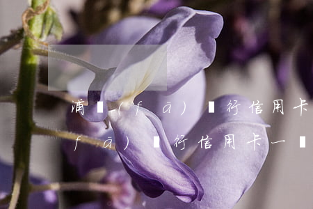 浦發(fā)銀行信用卡一個月不還(浦發(fā)銀行信用卡一個月不還會怎么樣)