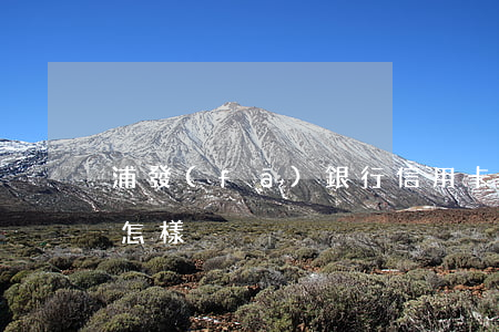 浦發(fā)銀行信用卡不還會(huì)怎樣