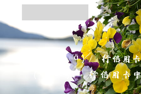 浦發(fā)銀行信用卡中心逾期鎖卡 浦發(fā)銀行信用卡中心逾期鎖卡