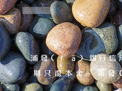 浦發(fā)銀行信用卡個(gè)性化分期只還本金-浦發(fā)個(gè)性化分期還款有協(xié)議書嗎