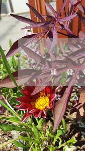 浦發(fā)銀行信用卡協(xié)商還款為何不給明確協(xié)議-浦發(fā)銀行信用卡協(xié)商還款為何不給明確協(xié)議金額