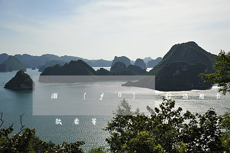 浦發(fā)銀行信用卡協(xié)商還款要等幾天-浦發(fā)銀行信用卡協(xié)商還款要等幾天才能用