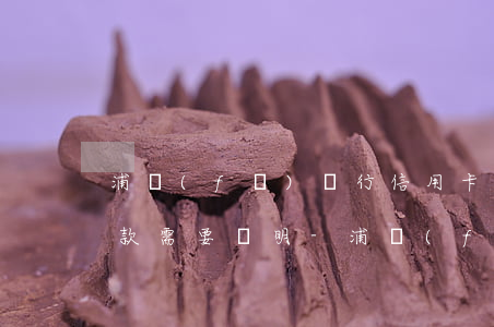 浦發(fā)銀行信用卡協(xié)商還款需要證明-浦發(fā)銀行信用卡協(xié)商還款需要證明材料嗎