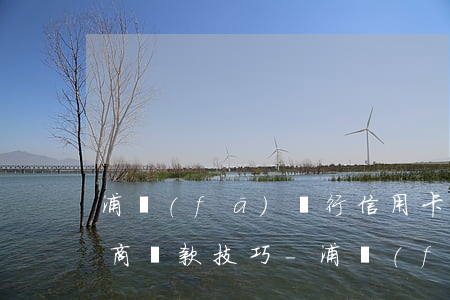浦發(fā)銀行信用卡提前協(xié)商還款技巧-浦發(fā)銀行信用卡提前協(xié)商還款技巧視頻