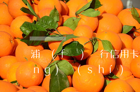 浦發(fā)銀行信用卡未還多長(zhǎng)時(shí)間起訴-浦發(fā)銀行信用卡未還多長(zhǎng)時(shí)間起訴有效