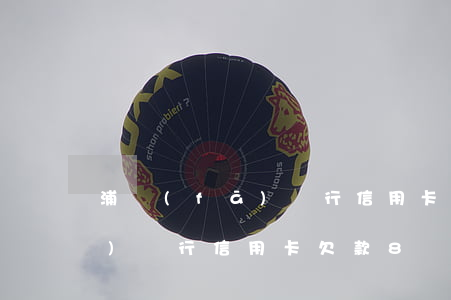 浦發(fā)銀行信用卡欠57 浦發(fā)銀行信用卡欠款8萬還不上怎么辦