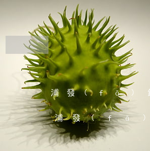 浦發(fā)銀行信用卡欠款一萬五逾期-浦發(fā)銀行信用卡欠款一萬五逾期會怎么樣
