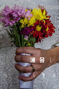 浦發(fā)銀行信用卡的萬用金逾期(浦發(fā)銀行萬用金逾期了催收部門不給時(shí)間)