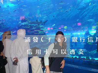 浦發(fā)銀行信用卡能否透支(哪些銀行信用卡可以透支)