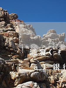 浦發(fā)銀行信用卡能透支嗎(浦發(fā)銀行信用卡都有哪些坑)