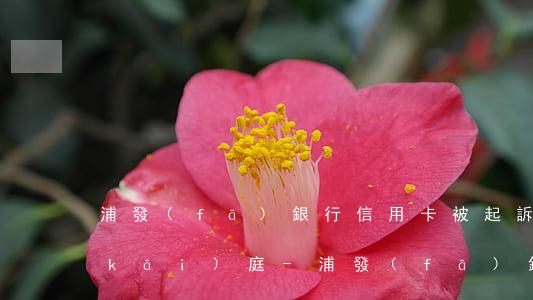 浦發(fā)銀行信用卡被起訴如何去開(kāi)庭-浦發(fā)銀行信用卡被起訴如何去開(kāi)庭審理