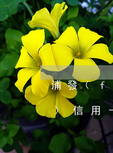 浦發(fā)銀行信用卡要逾期 浦發(fā)信用卡2000逾期兩年