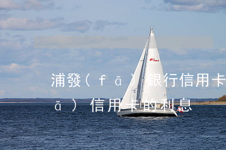 浦發(fā)銀行信用卡透支利息(浦發(fā)信用卡的利息)