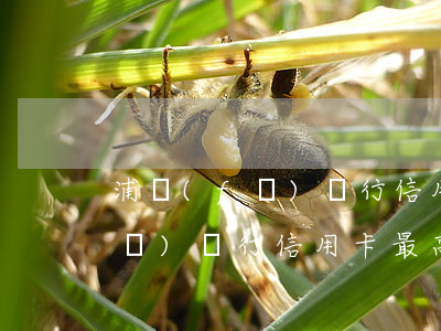 浦發(fā)銀行信用卡透支額度(浦發(fā)銀行信用卡最高額度)