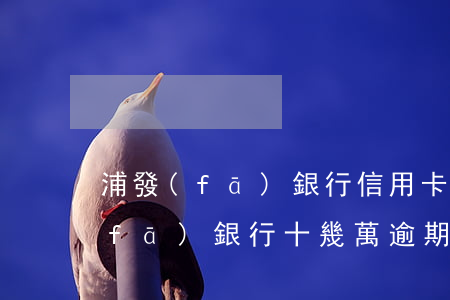 浦發(fā)銀行信用卡逾期10年(浦發(fā)銀行十幾萬逾期了銀行起訴怎么辦)