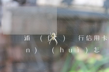 浦發(fā)銀行信用卡逾期15萬(wàn)會(huì)怎樣-浦發(fā)銀行信用卡逾期15萬(wàn)會(huì)怎樣處理