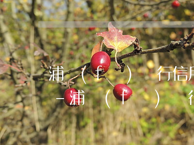 浦發(fā)銀行信用卡逾期15萬怎么辦-浦發(fā)銀行信用卡逾期15萬怎么辦理