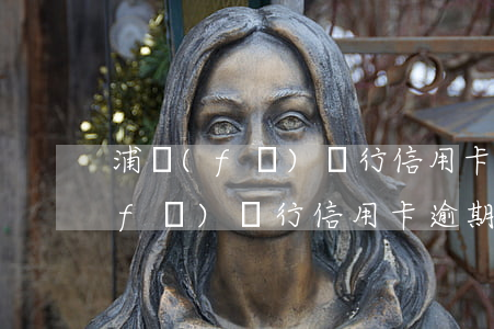 浦發(fā)銀行信用卡逾期28天(浦發(fā)銀行信用卡逾期28天)