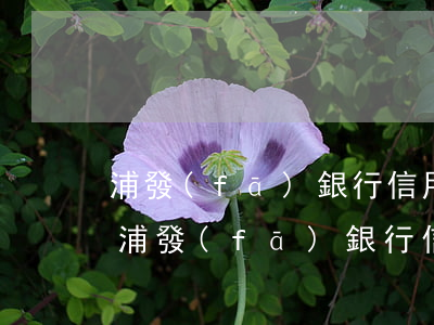 浦發(fā)銀行信用卡逾期2天還款嗎-浦發(fā)銀行信用卡逾期2天還款嗎會怎樣